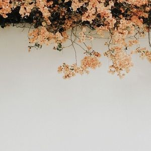 Meet your Posher, Memeagan